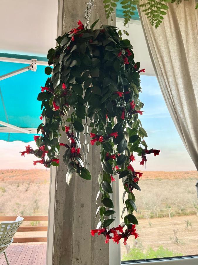 אוטרנטו Le Palombelle Casa Vacanze מראה חיצוני תמונה