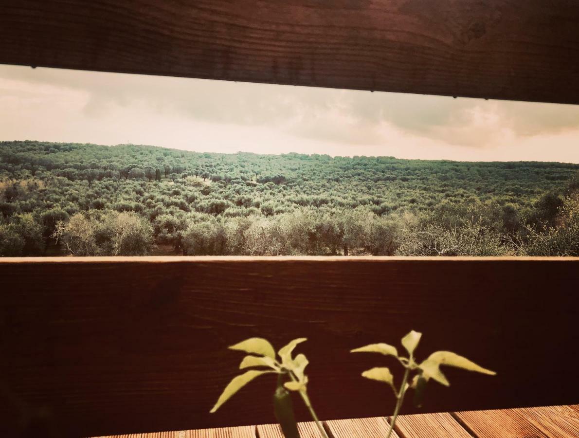 אוטרנטו Le Palombelle Casa Vacanze מראה חיצוני תמונה