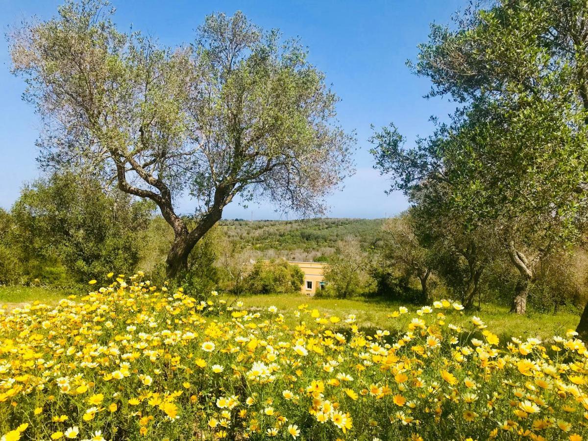 אוטרנטו Le Palombelle Casa Vacanze מראה חיצוני תמונה
